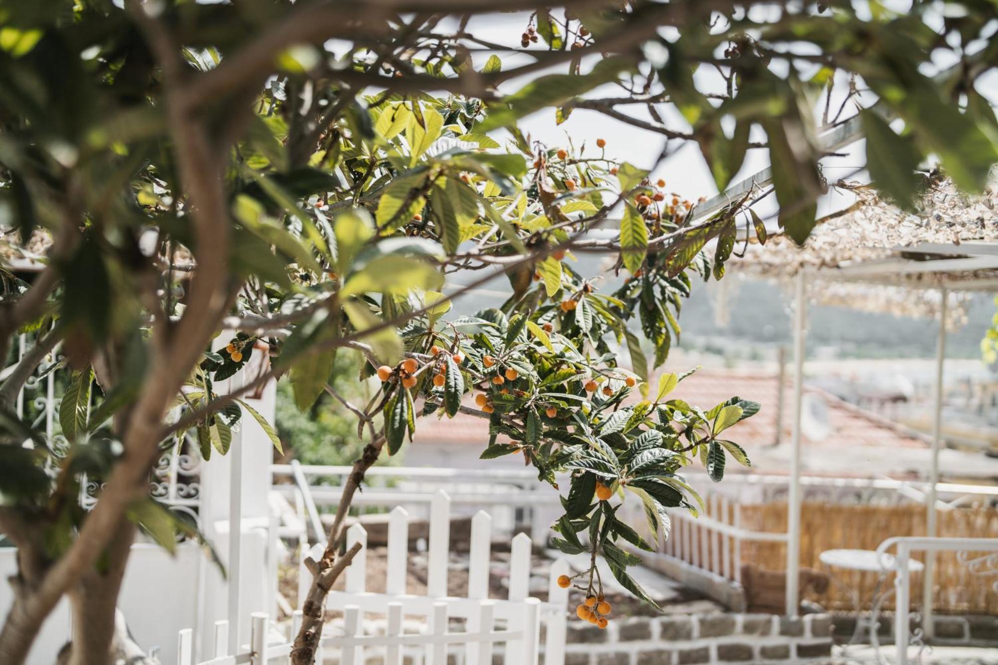 The Garden House Apartment Kavála ภายนอก รูปภาพ